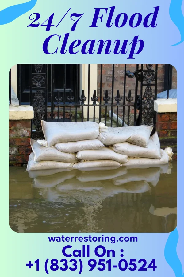 24/7 Flood Cleanup in Ashland, MS